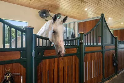 4980 Stables Way, Wellington, FL 33414 - Photo 63