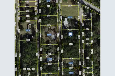 16407 NE 51 Terrace, Citra, FL 32113 - Photo 3