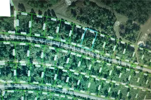 8644 Tunis St, Sebring, FL 33872 - Photo 1