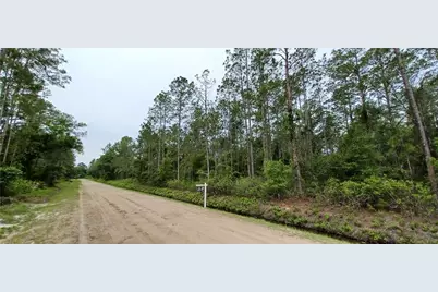 10695 Erickson Avenue, Hastings, FL 32145 - Photo 3