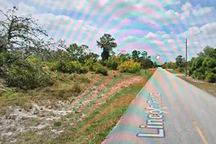 426 Lincoln Blvd, Lake Placid, FL 33852 - Photo 1