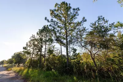 754 American Street, Lake Placid, FL 33852 - Photo 5