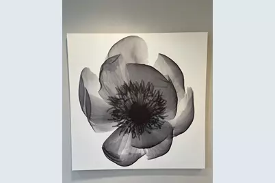 3100 N Palm Aire Drive #304, Pompano Beach, FL 33069 - Photo 23