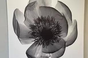 3100 N Palm Aire Dr, Pompano Beach, FL 33069 - Photo 23