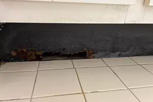 13903 SW 91st Terrace, Miami, FL 33186 - Photo 3