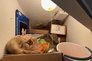 13903 SW 91st Terrace, Miami, FL 33186 - Photo 9