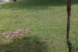 7605 W Atlantic Blvd, Margate, FL 33063 - Photo 9