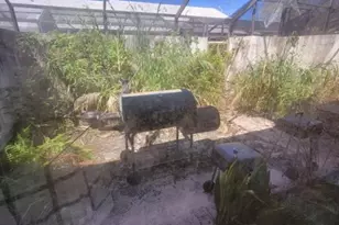 14808 SW 124th Ct, Miami, FL 33186 - Photo 7