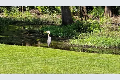 310 Woodland Drive, Jacksonville, NC  - Photo 9