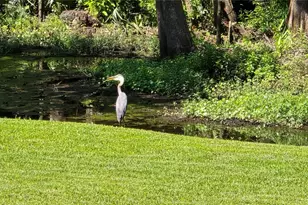 310 Woodland Dr, Jacksonville, NC - Photo 9
