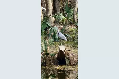 310 Woodland Drive, Jacksonville, NC  - Photo 11