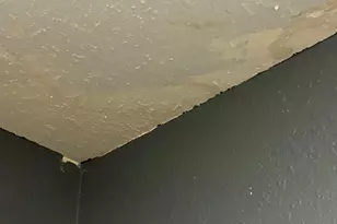 9746 NW 35th St, Coral Springs, FL 33065 - Photo 31