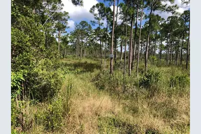 16788 NW 276th Street, Okeechobee, FL 34972 - Photo 15