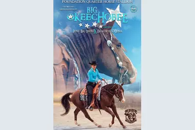 16788 NW 276th Street, Okeechobee, FL 34972 - Photo 23