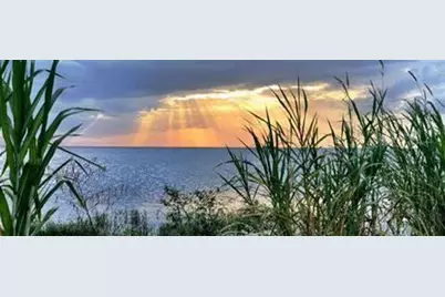 16788 NW 276th Street, Okeechobee, FL 34972 - Photo 29