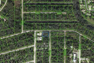 1218 Ailanthus St, Lake Placid, FL 33852 - Photo 1
