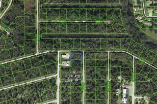 1218 Ailanthus St, Lake Placid, FL 33852 - Photo 1