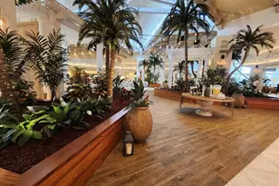 8143 Coconut Pl, Kissimmee, FL 34747 - Photo 87