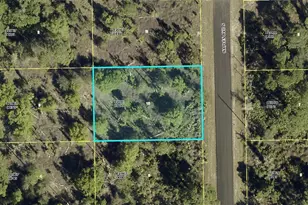 1012 Naples Ave, Lehigh Acres, FL 33974 - Photo 1