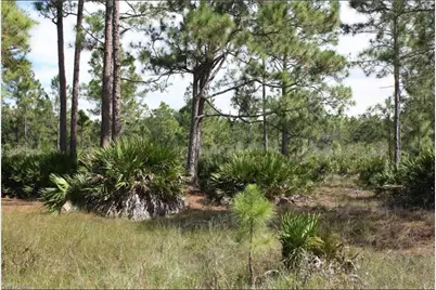 1855 Miller Street, Lehigh Acres, FL 33972 - Photo 3