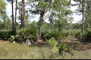 1855 Miller St, Lehigh Acres, FL 33972 - Photo 3