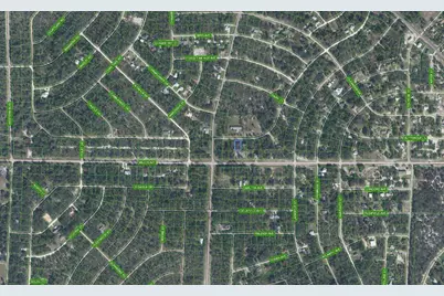 805 Gardenia Street, Lake Placid, FL 33852 - Photo 3