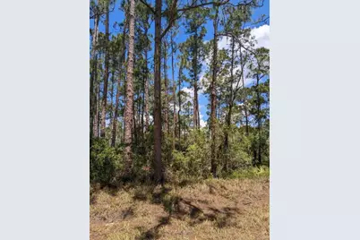 430 Apple Blossom Avenue, Lake Placid, FL 33852 - Photo 3