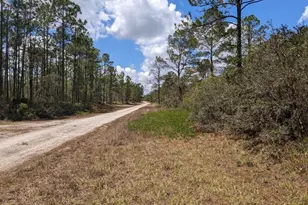 430 Apple Blossom Ave, Lake Placid, FL 33852 - Photo 1