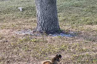 14151 E Center St, Okeechobee, FL 34974 - Photo 37