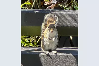 1230 S Military Trail #2011, Deerfield Beach, FL 33442 - Photo 21