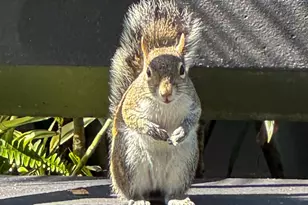 1230 S Military Trail, Deerfield Beach, FL 33442 - Photo 21