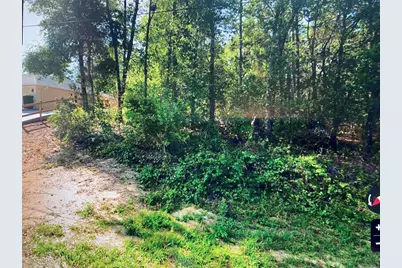 684 W Pitler Place, Citrus Springs, FL 34434 - Photo 5