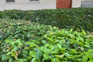 3774 Inverrary Blvd, Lauderhill, FL 33319 - Photo 3