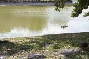 5608 NW 19th St, Lauderhill, FL 33313 - Photo 13