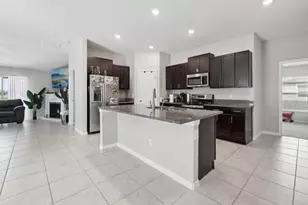 16621 Sunburst Lake St, Wimauma, FL 33598 - Photo 7