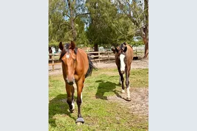 12100 NW 27th Court, Plantation, FL 33323 - Photo 43