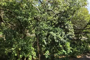 9400 Live Oak Pl, Davie, FL 33324 - Photo 23