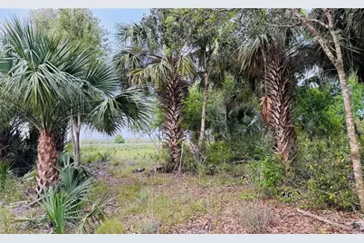 10555 State Road 60, Vero Beach, FL 32966 - Photo 5