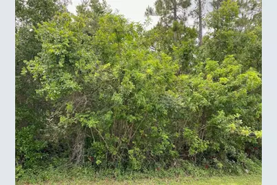 2351 Allamanda Drive, Indian Lake Estates, FL  - Photo 3