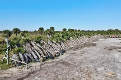 Xxxx Xxxx Carlton Road, Fort Pierce, FL 34945 - Photo 35