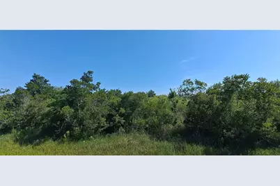 19264 NW 264th Street, Okeechobee, FL 34972 - Photo 9