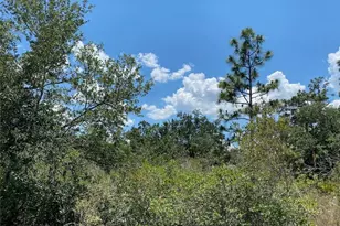 Lot 24 Indian Lake Dr, Indian Lake Estates, FL - Photo 1