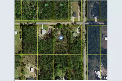 4315 Wanda Street, Hastings, FL 32145 - Photo 1