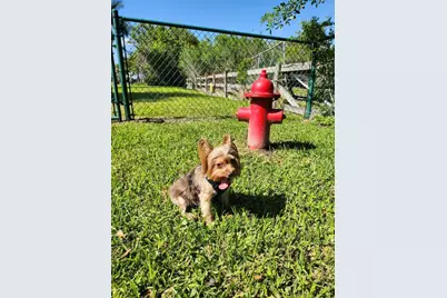 542 SW 40th Cove, Okeechobee, FL 34974 - Photo 43