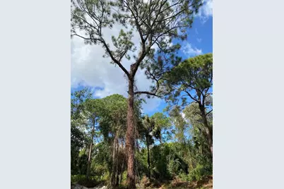 17987 32nd Lane, Loxahatchee, FL 33470 - Photo 27