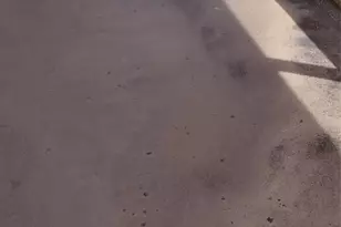 1000 St Charles Pl, Hollywood, FL 33026 - Photo 5