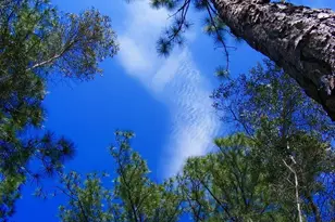 1246 Cordoba St, Lehigh Acres, FL 33974 - Photo 5