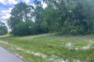 4513 NW 34th Pl, Cape Coral, FL 33993 - Photo 13