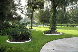 555 SW 87th Pl, Ocala, FL 34476 - Photo 11