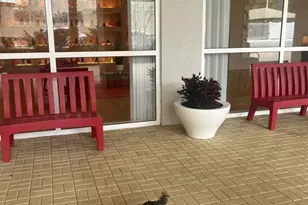 1551 N Flagler Dr, West Palm Beach, FL 33401 - Photo 47